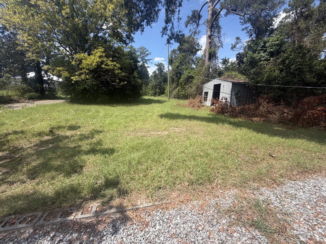 Yard with brush piles and shed before clearing